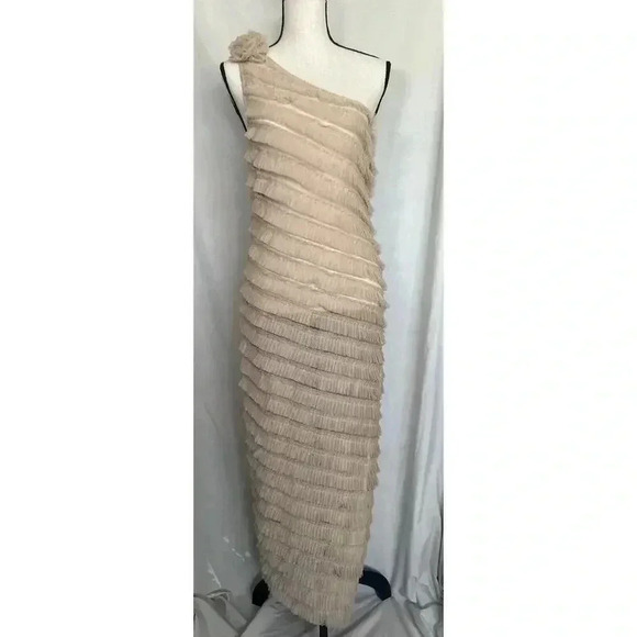 NWT Kimchi Blue Urban Outfitters Rita Ruffle Rose Dress Sheer Beige Tule Size M - Picture 3 of 16